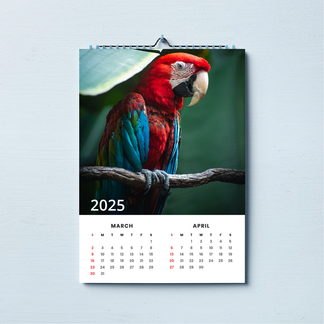 2026 A3 Birds Wall Calender
