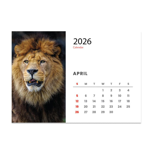 2026 Desk Calendar A5 Wildlife Style