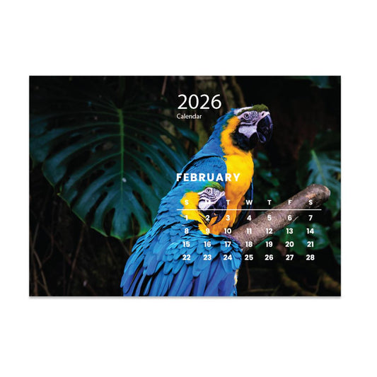 2026 Desk Calendar A5 African Birds