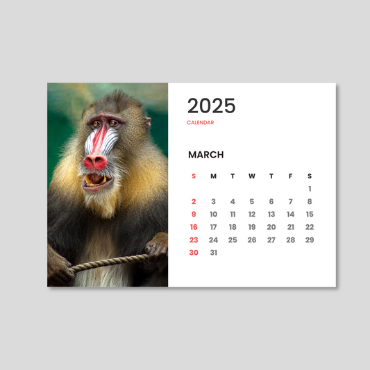Desk Calendar A5 Wildlife Style 2026