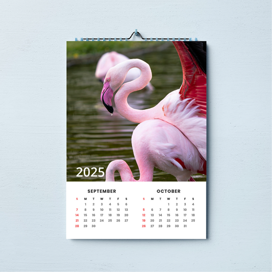 2026 A3 Birds Wall Calender