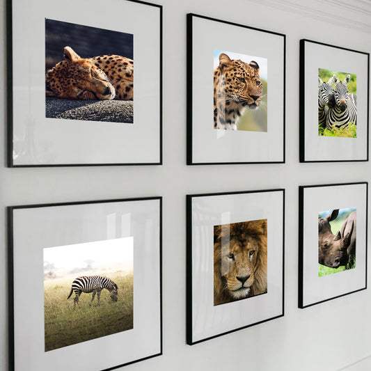 Wooden Black Gallery wall frames 30x30cm