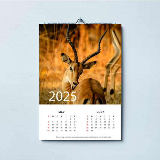 2026 A3 Wall Calender