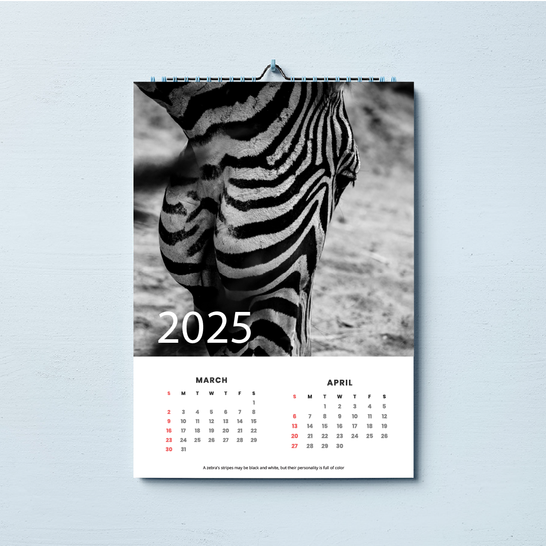 2026 A3 Wall Calender