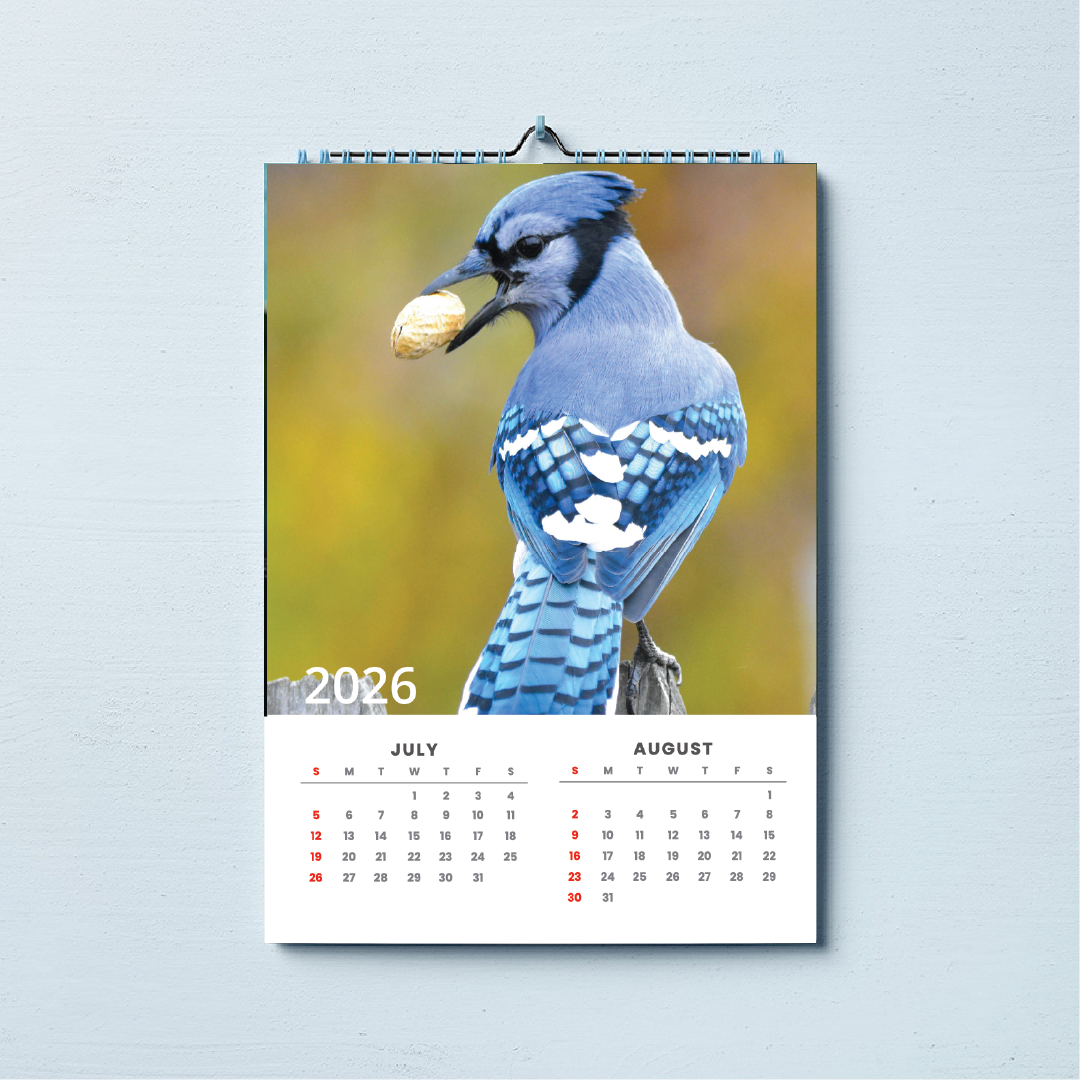2026 A3 Wall Calender African Birds