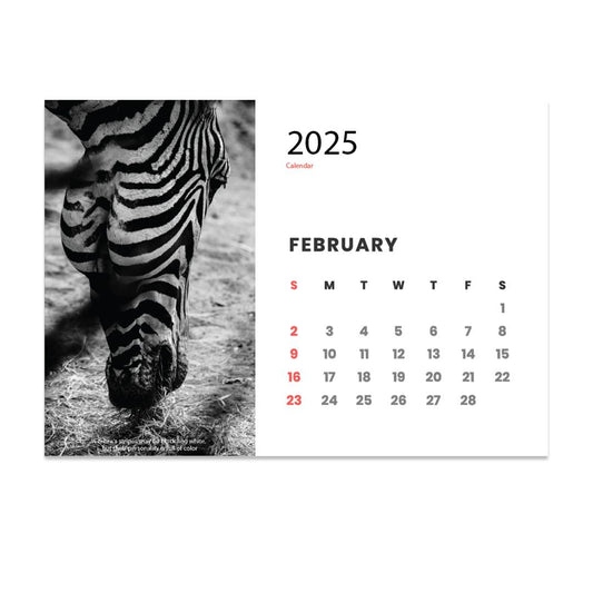 2026 Desk Calendar A5 Wildlife Style