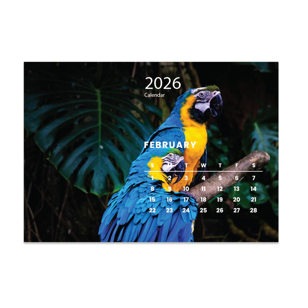 2026 Desk Calendar A5 African Birds