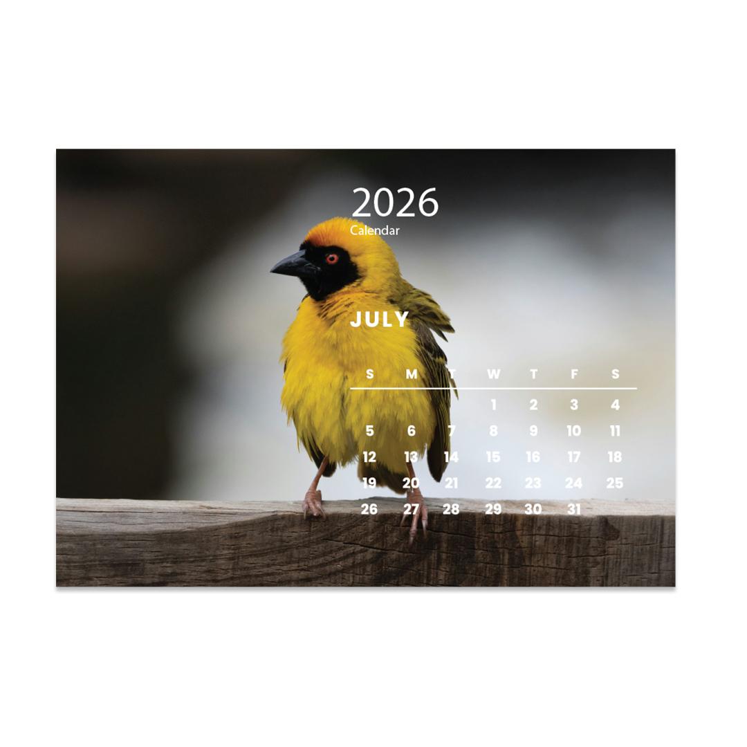 2026 Desk Calendar A5 African Birds